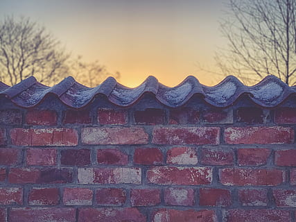 brown brick wall, roof, tile roof, rug, plant, moss, rust, vine HD wallpaper