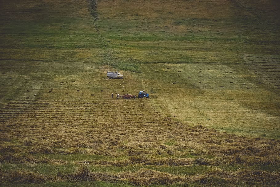 tractor on field, outdoors, grassland, nature, ground, countryside HD wallpaper