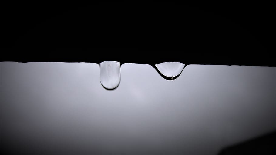 rainy day, drops, mood, studio shot, close-up, no people, water, HD wallpaper