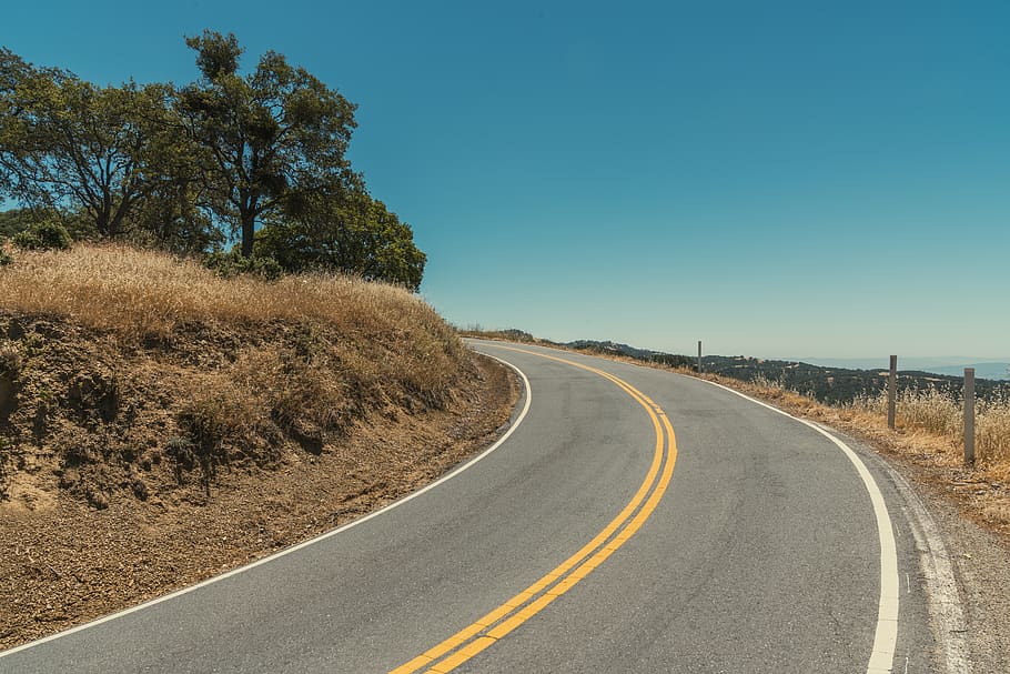 road, trees, grass, sky, sun, the way forward, direction, plant HD wallpaper