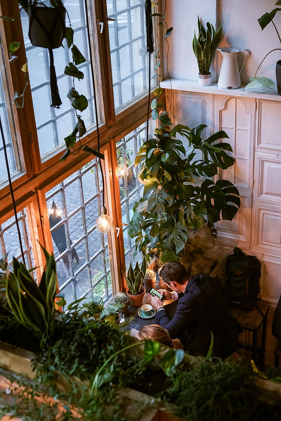 green-leafed plant, indoors, window, real people, potted plant HD wallpaper