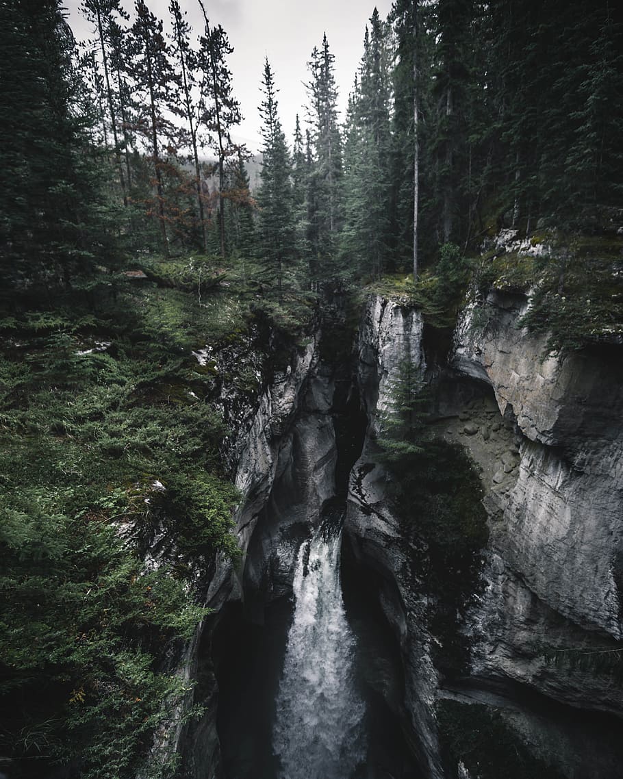 landscape photography of waterfalls near green trees, forest HD wallpaper