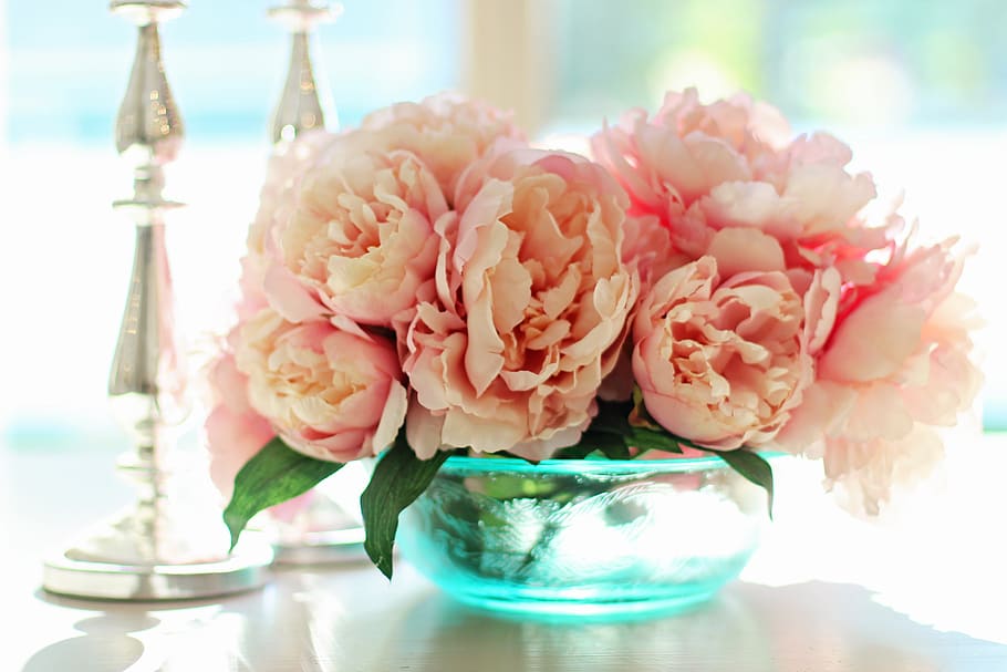 peonies, flowers, floral, spring, peony, summer, blossom, bouquet, HD wallpaper