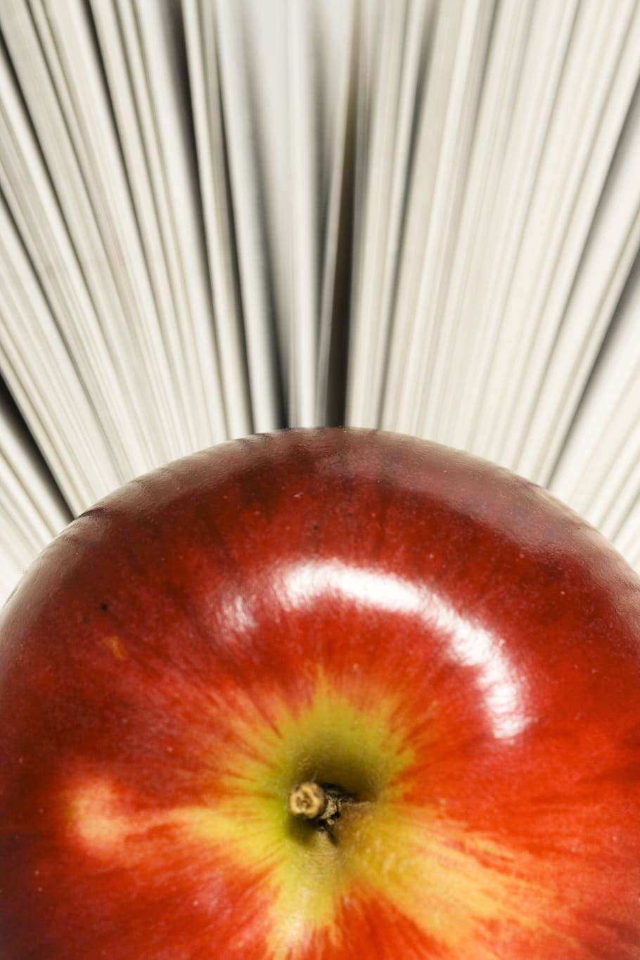 con2011, book, knowledge, literary, literature, new, object HD wallpaper