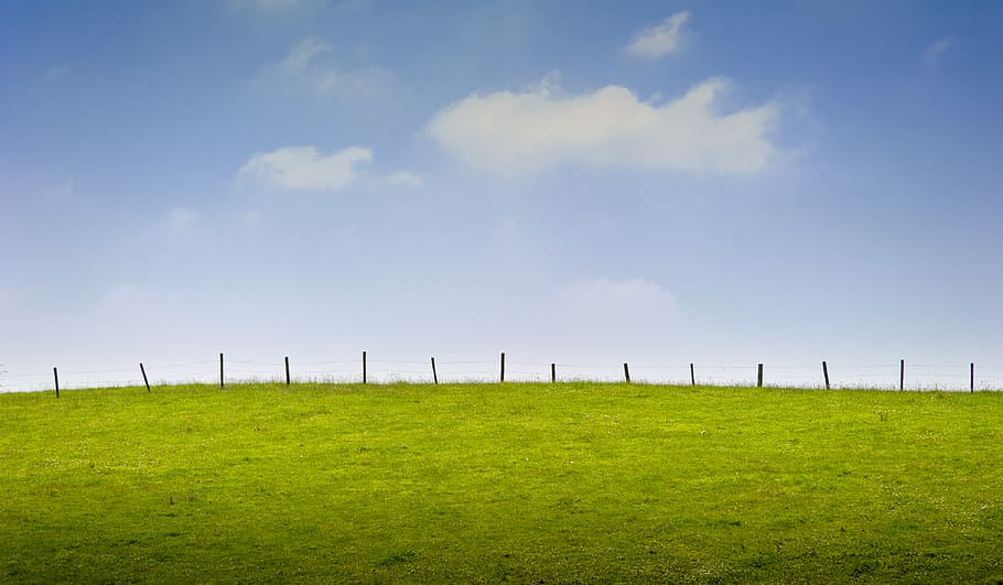 green, field, sky, grass, blue, cloud, minimalist, environment HD wallpaper