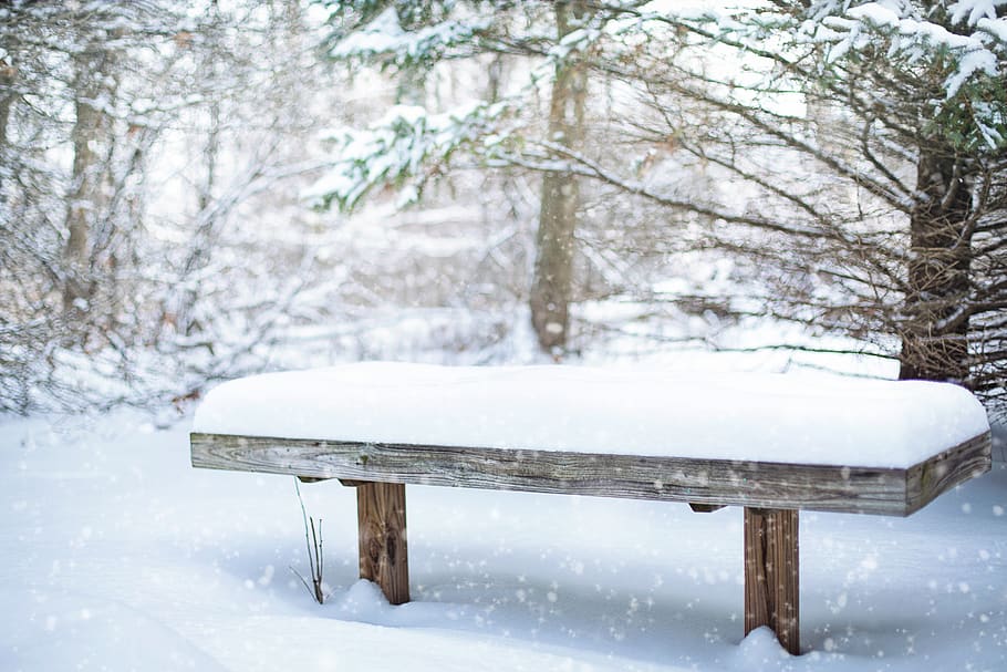 snow, bench, snowy, winter, cold, nature, frozen, wintry, park, HD wallpaper