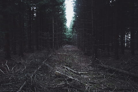 frankrijk, saint-front, field, vsco, picute, photography, phone HD wallpaper