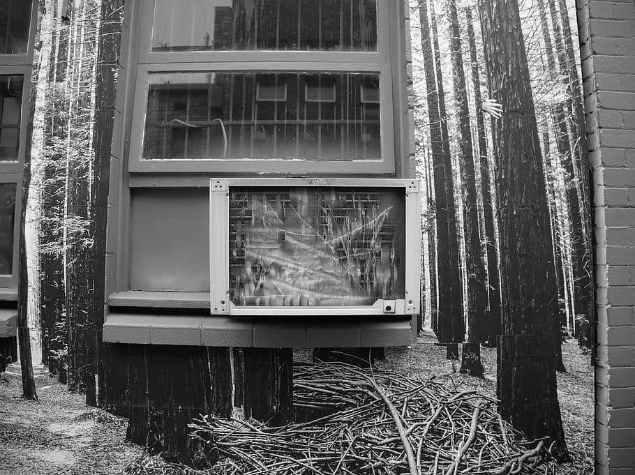 area 51, illusion, lost, cabin, trees, forest, window, architecture, HD wallpaper