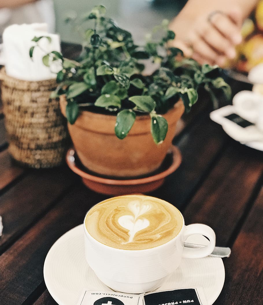 Green Leafed Plant Near Coffee Filled White Ceramic Cup, breakfast HD wallpaper