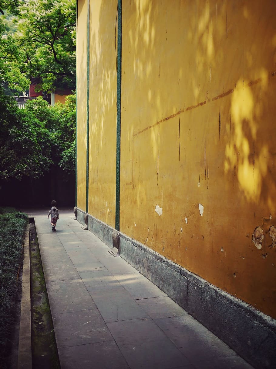 temple, wall, walk, baoy, china, yellow, architecture, day HD wallpaper