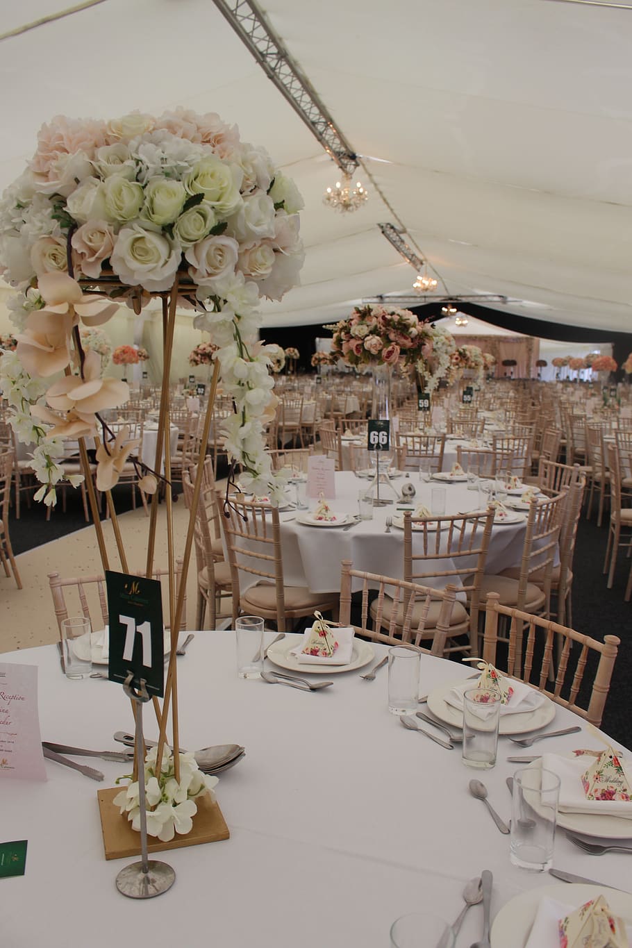 flowers, tables, wedding, interior, flowering plant, indoors HD wallpaper
