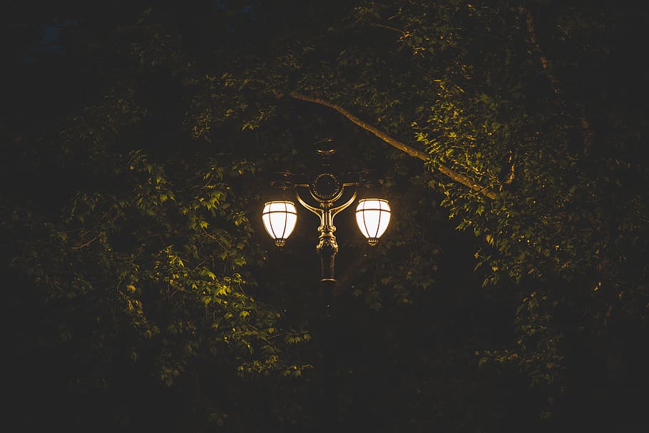 lighted lamp post, london, united kingdom, st. james's park station, HD wallpaper