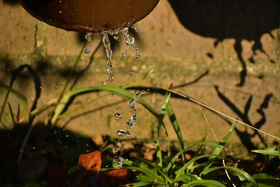 water, drop, nature, motion, focus on foreground, close-up HD wallpaper