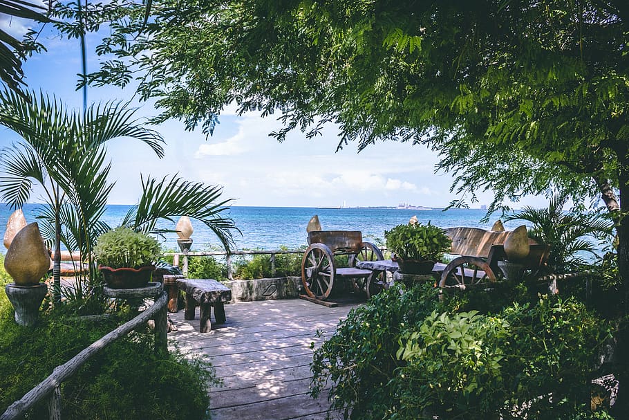Wagon Bench Set Near Body of Water and Trees, beach, clouds, daylight HD wallpaper