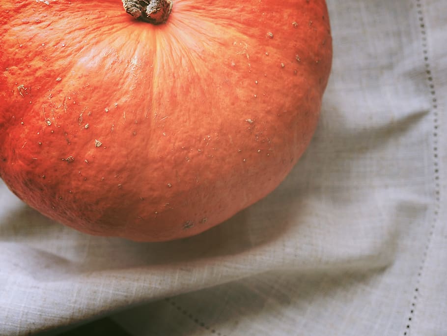 pumpkin, halloween, part, october, orange, november, autumn HD wallpaper
