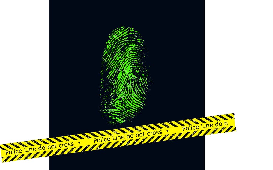 print, finger, texture, trace, graphic, graphical, green color HD wallpaper