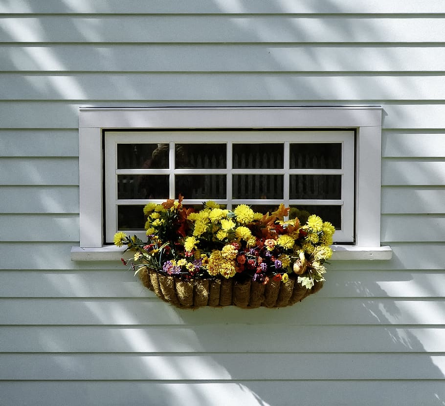assorted flowers on window, plant, flowering plant, architecture HD wallpaper