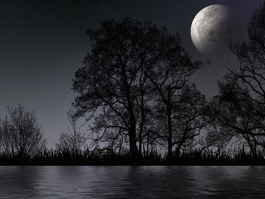 night, darkness, moon, reflection, dusk, silhouette, tree, loneliness in the night HD wallpaper