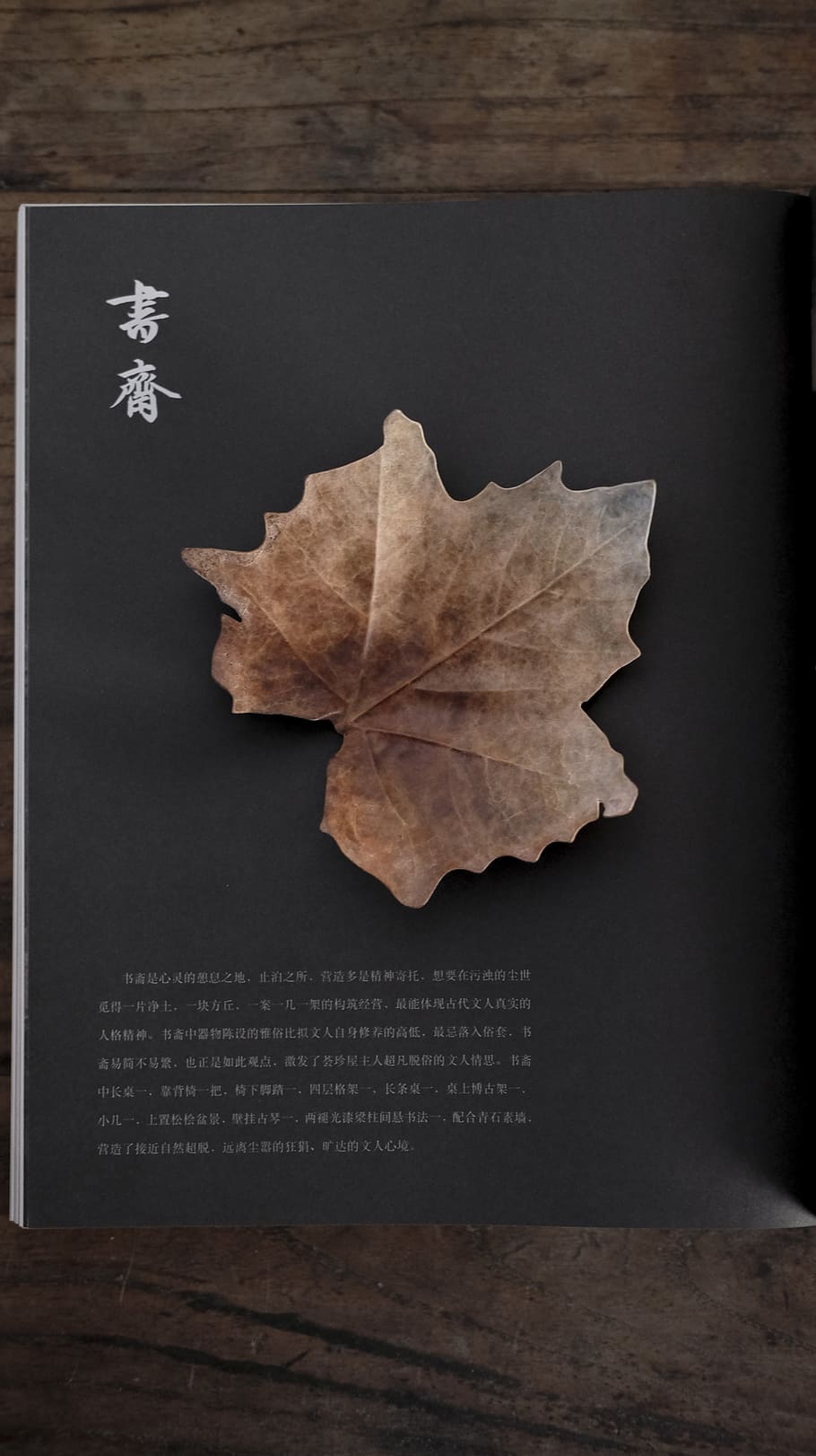 china, guangzhou, table, leaf, still life, plant part, text HD wallpaper