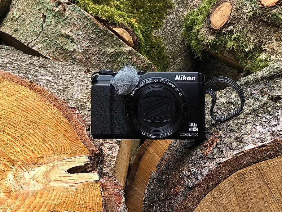 netherlands, anloo, nikon, camera, wood, compact camera, nikon camera HD wallpaper