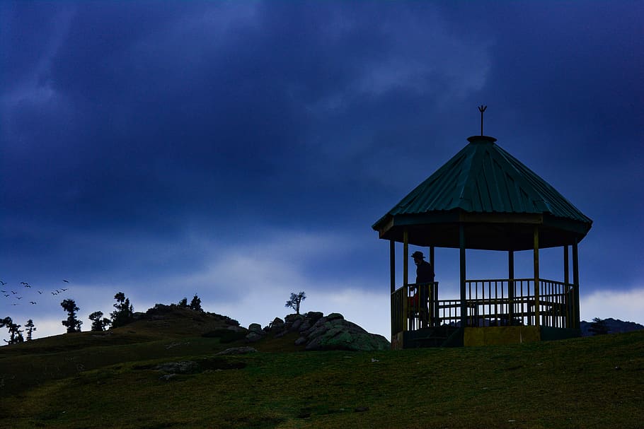 person standing inside cottage, gazebo, human, bird, animal, birds HD wallpaper