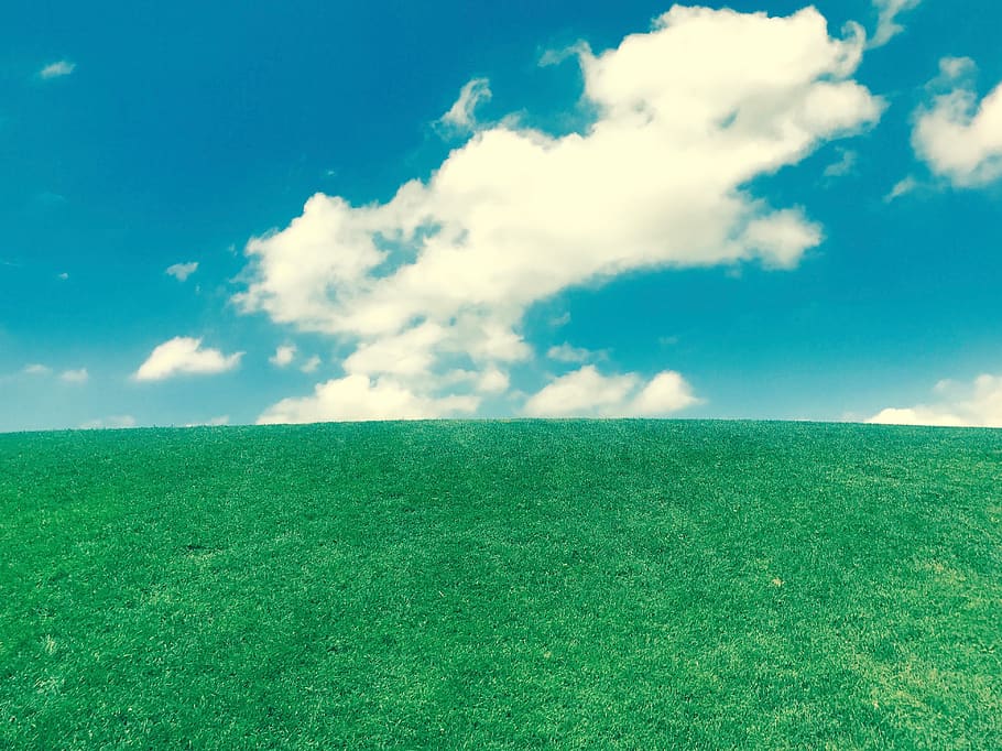 green grass under white clouds, cloud - sky, green color, field HD wallpaper