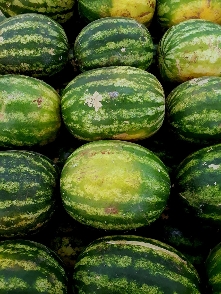 Watermelons, abundance, fruits, healthy, produce, food and drink HD wallpaper