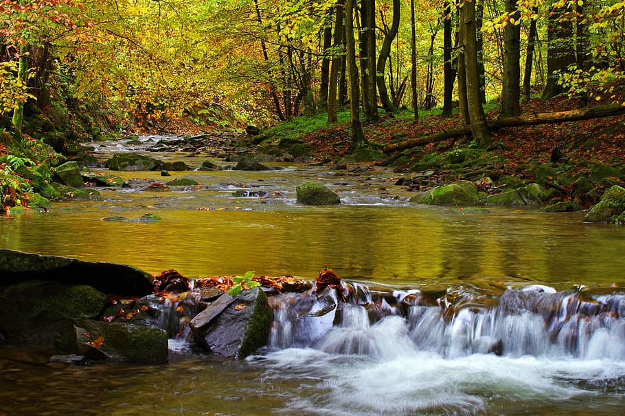 poland, bieszczady, stream hylaty, tourism, nature, torrent mountain, HD wallpaper