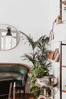 gray fan beside indoor green plants, minimalism, interiordesign HD wallpaper