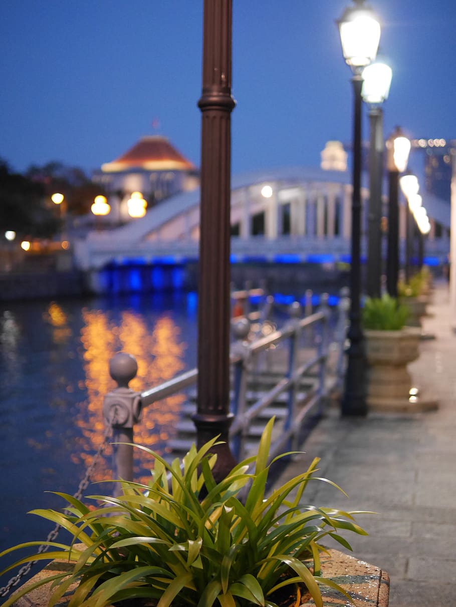 city, illuminated, water, architecture, night, nature, built structure HD wallpaper