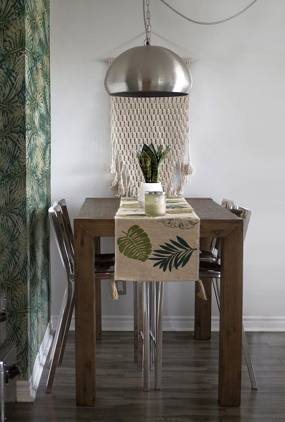 snake plant on table, indoors, wood - material, no people, home interior HD wallpaper