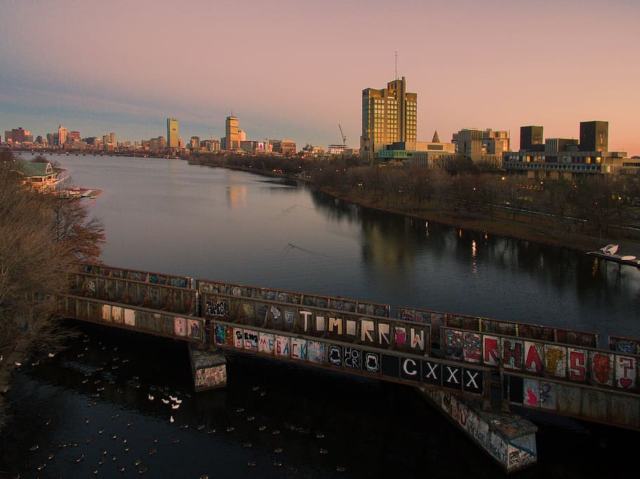 boston, usa, old, defunct, graffiti, swans, ducks, geese, colorful HD wallpaper