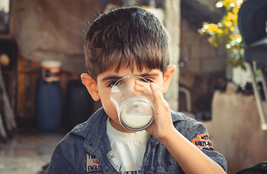 Photo of Boy Drinking Glass of Milk, child, kid, person, portrait HD wallpaper