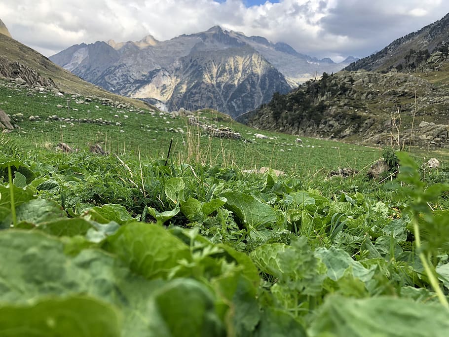 spain, benasque, 22440 benasque, mountain, beauty in nature HD wallpaper
