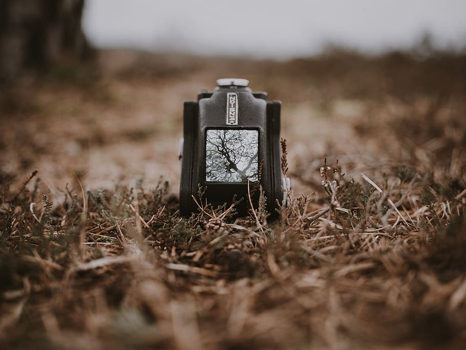 square black electronic device on grass field, wristwatch, ground HD wallpaper