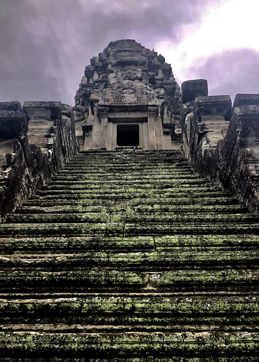 cambodia, krong siem reap, unnamed road, temple, green, spooky, HD wallpaper