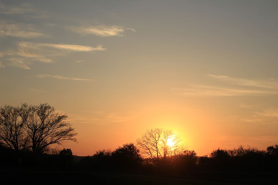 sky, sunset, tree, silhouette, beauty in nature, scenics - nature HD wallpaper