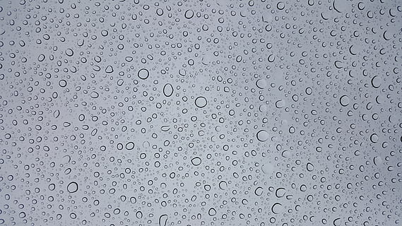 selective focus photography of water droplets, texture, rain HD wallpaper