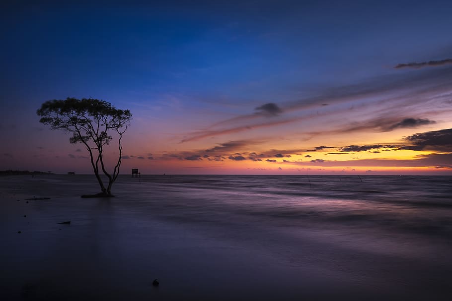 Sunset Photography, backlit, beach, clouds, cloudscape, dawn HD wallpaper