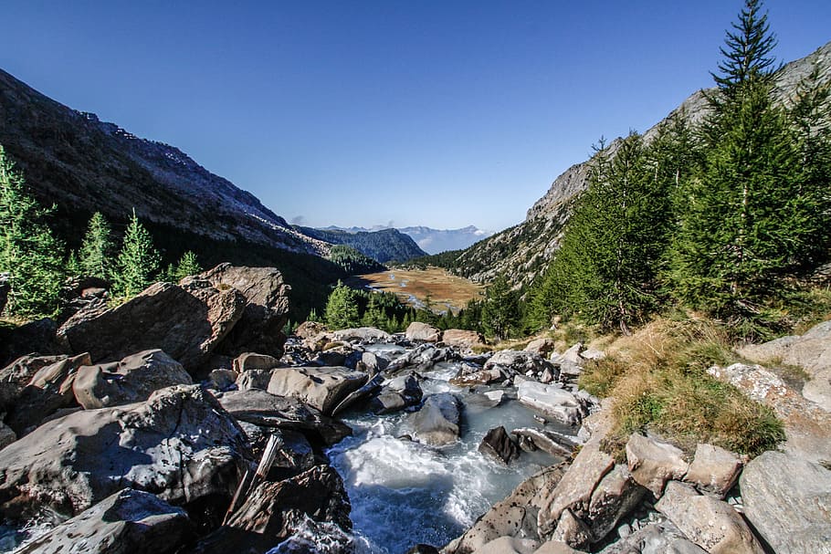River on Rocky Mountain, conifers, environment, fir trees, flow HD wallpaper