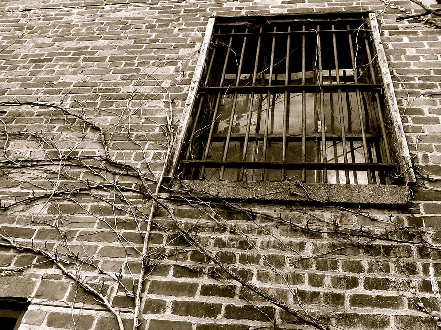 old building, bars, vines, brick wall, dark, erie, grill, window HD wallpaper