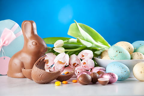 White Flowers Between Brown Rabbit Figure and Eggs, blue background HD wallpaper