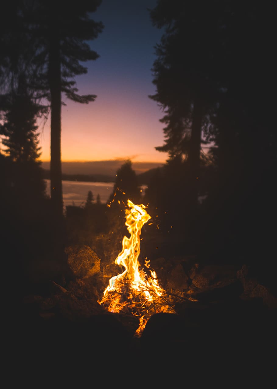 firepit near trees during night time, sky, sunset, orange color HD wallpaper