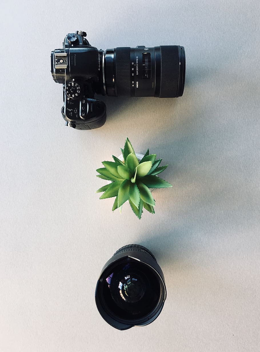 Camera and Succulent Plant, camera lens, close-up, electronic HD wallpaper