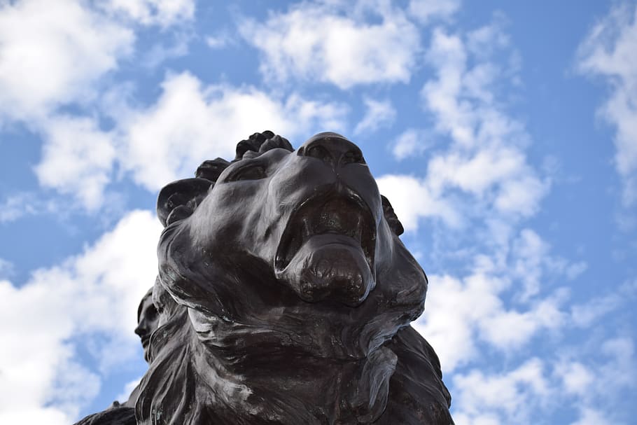 statue, lion, bronze, bellow, sculpture, symbol, london, great britain HD wallpaper