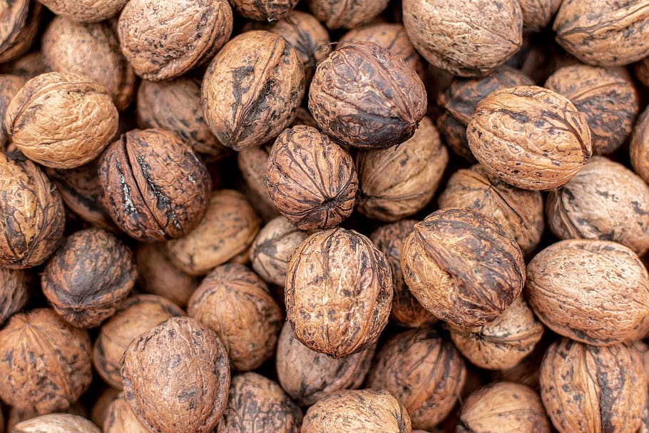 brown cashew nuts, food, walnut, plant, vegetable, walnuts, shell HD wallpaper