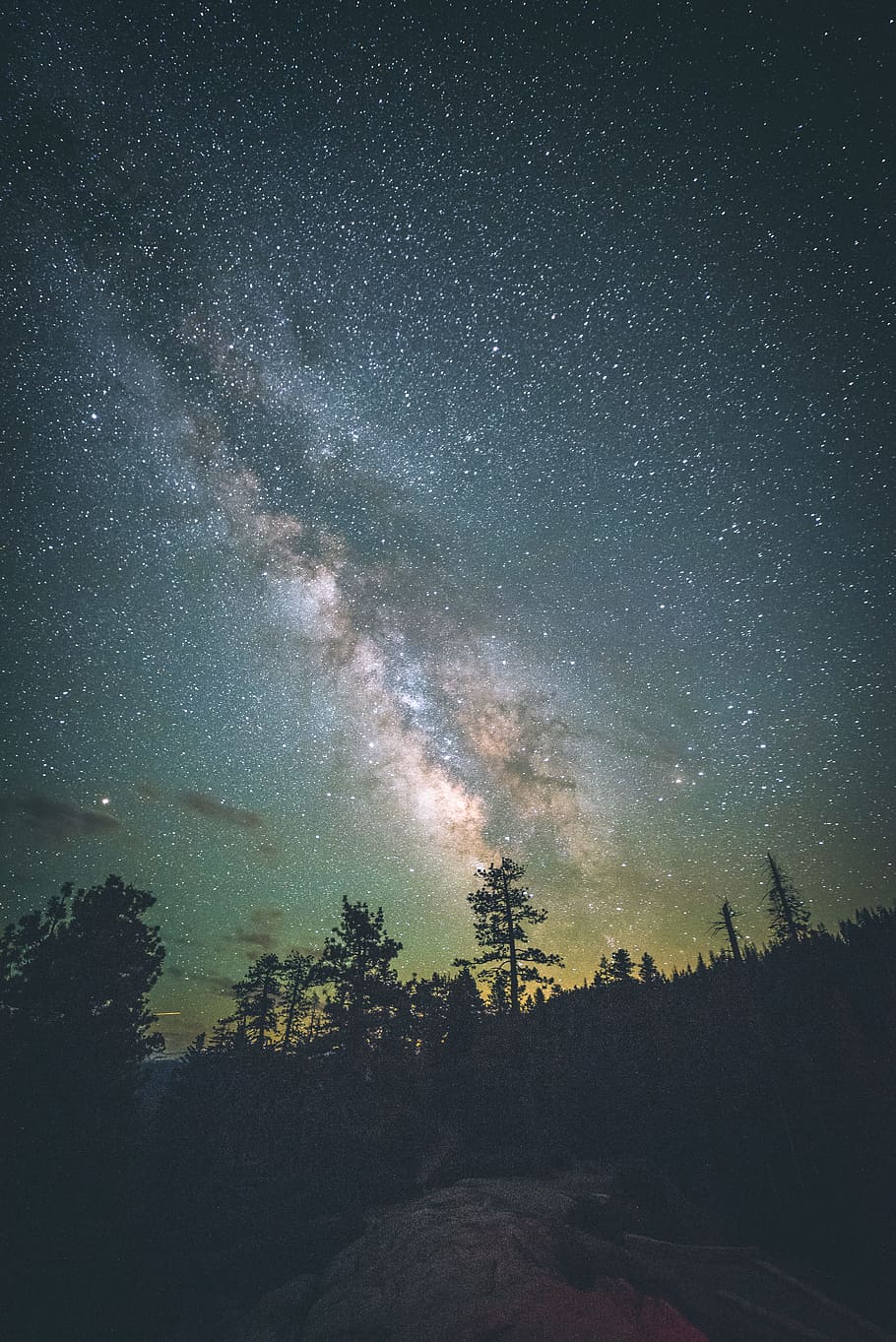 silhouettes of trees under starry sky, silhoutte, milky way, galaxy HD wallpaper