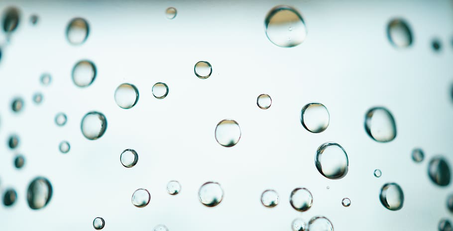 Water Droplets on Glass, clear, dew, drops, drops of water, liquid HD wallpaper