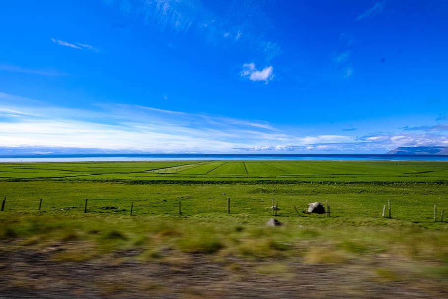 iceland, environment, landscape, scenics - nature, grass, sky HD wallpaper