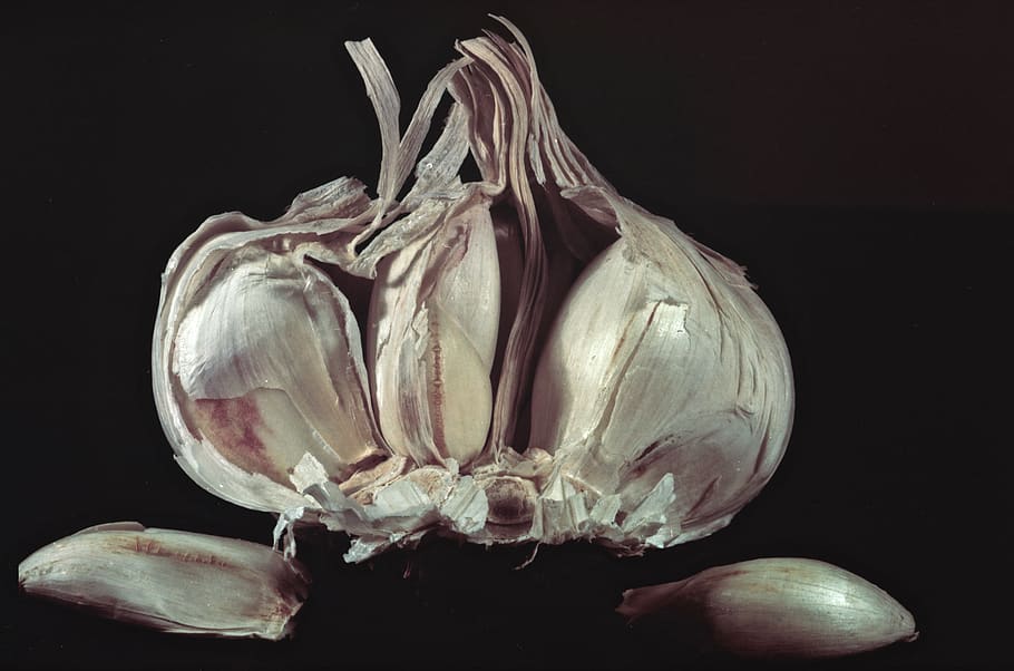 garlic, condiment, kitchen, cooking, macro, detail, french HD wallpaper